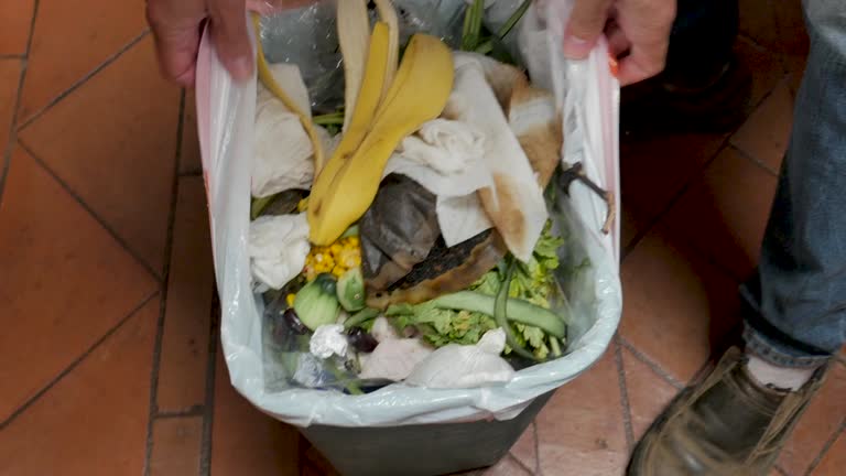 Property Management Cleanouts in Mckenzie, TN
